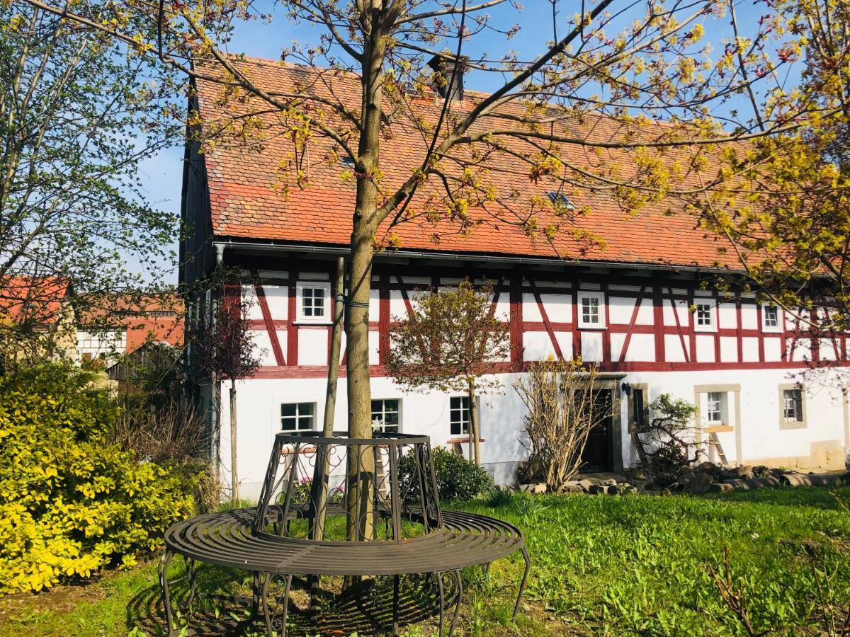 Appartamento Auengut-Bertsdorf Esterno foto